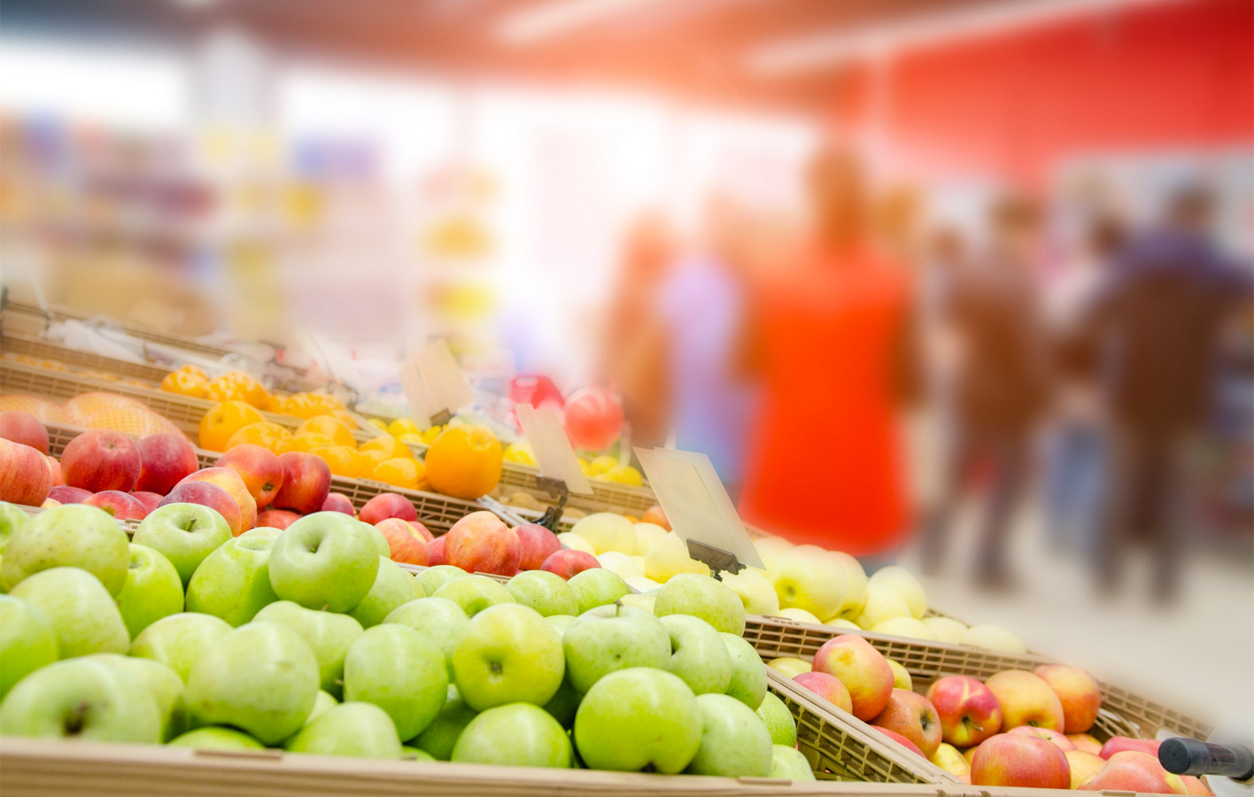 INDÚSTRIA DE ALIMENTOS